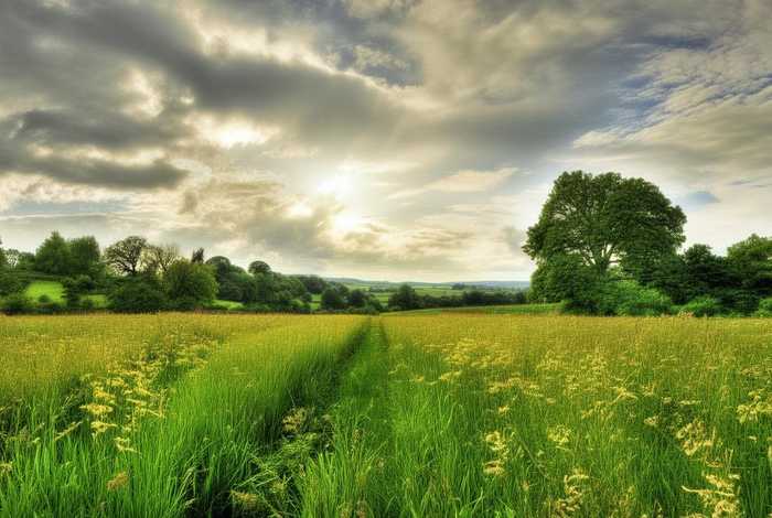 菲尔菲尔，菲尔菲尔德庄园