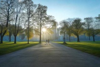 发现生活中的真善美环卫工，发现生活中的真善美环卫工作怎么写