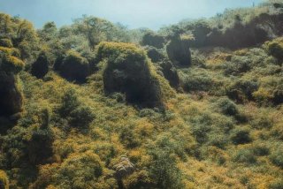 初中生活畅想600字作文、初中生活畅想作文600字左右