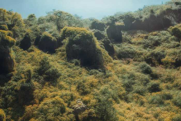 初中生活畅想600字作文、初中生活畅想作文600字左右