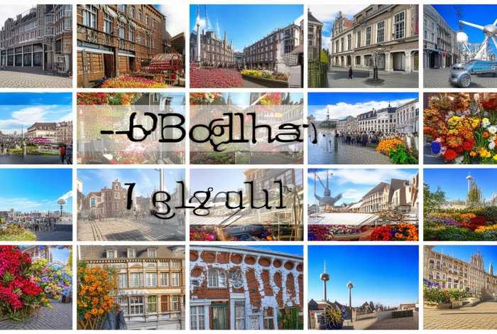 比利时生活视频全集；比利时生活视频全集在线观看