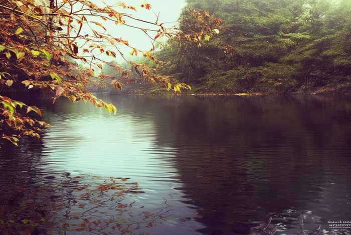 汾河生活艺术小镇茶馆 汾河生活艺术小镇餐厅
