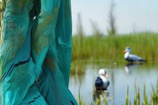 snsn水鸟生活馆 - snsn水鸟生活馆衣服