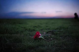 假如生活欺骗了你全文，假如生活欺骗了你全文复制