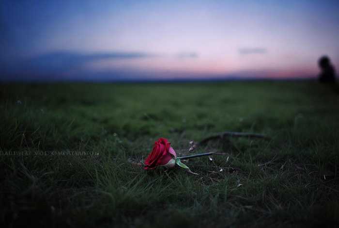 假如生活欺骗了你全文，假如生活欺骗了你全文复制