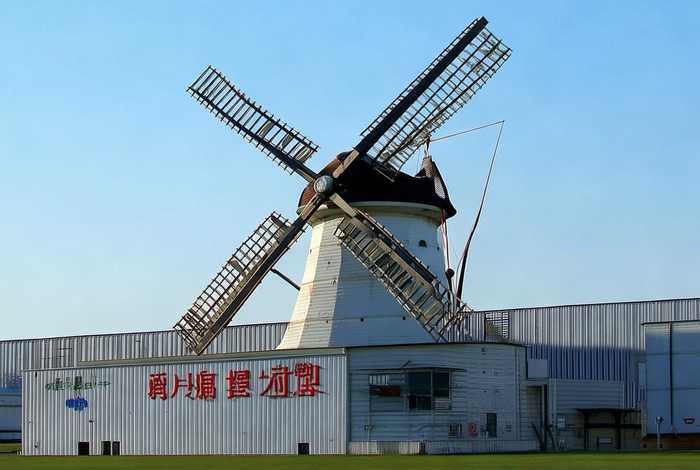 风车生粉沈阳供应商 风车生粉中国总代理