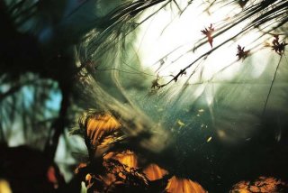 当一个人变懒了对生活失去信心；当一个人变懒了对生活失去信心怎么办