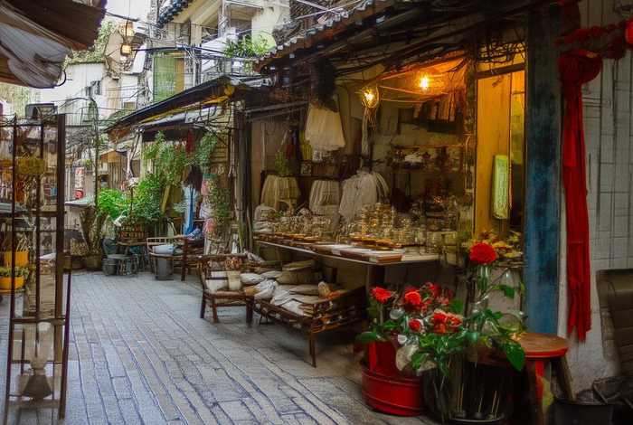 格林生活广场猫咖，格林生活坊业主论坛