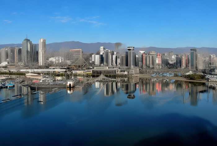 斑马的生活习性用作文怎么写 - 斑马的特点和生活特征描写