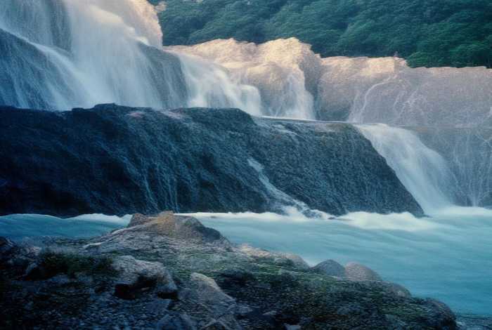 海绵宝宝海底生物图片（海绵宝宝海底生物图片简笔画）