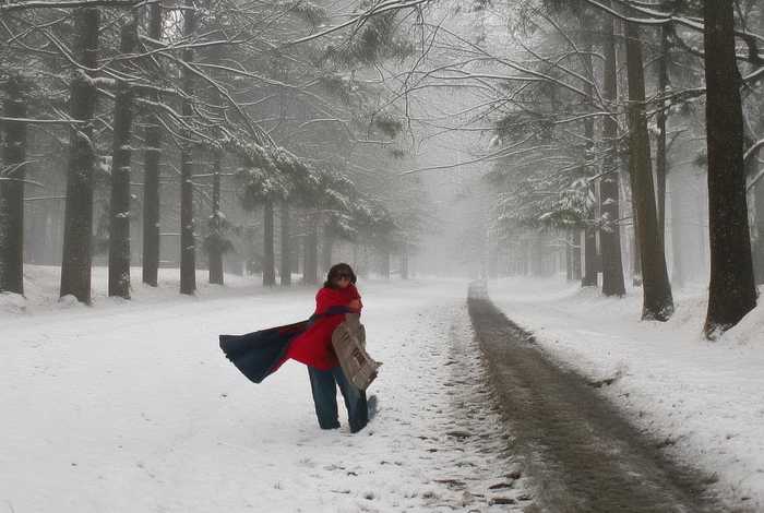 初中生活,真好 初中生活,真好六百字作文开头和结尾点题