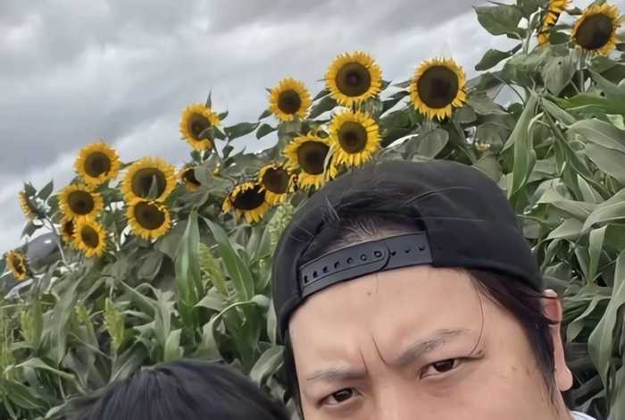 河马的生活方式和特点 - 河马的生活方式和特点介绍