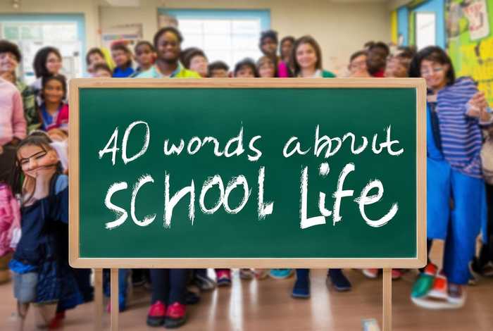 关于学校生活的英语作文40字 - 关于学校生活的英语作文40字带翻译