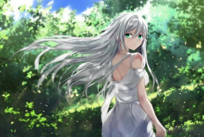 从零开始的异世界生活艾米莉亚图；从零开始的异世界生活艾米莉亚图片