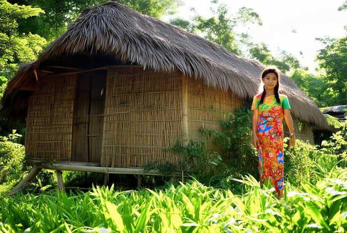 傣族的生活资料 - 傣族的生活资料大全