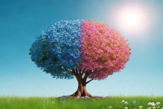 两性平等图 - 两性平等图画简单又漂亮