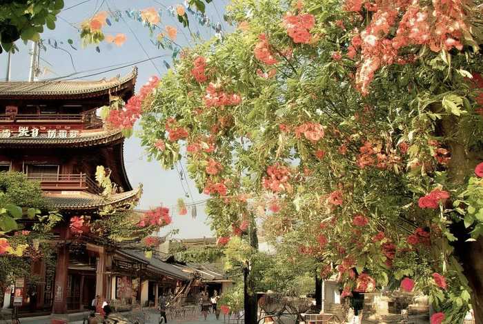 低碳生活我们能做什么开场白80字 - 低碳生活我们能做什么开场白80字左右