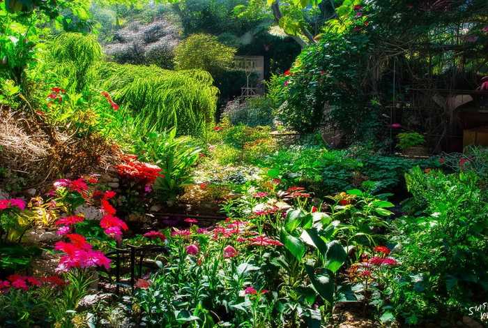 拉克丝的三角恋；拉克丝的三角恋人是谁