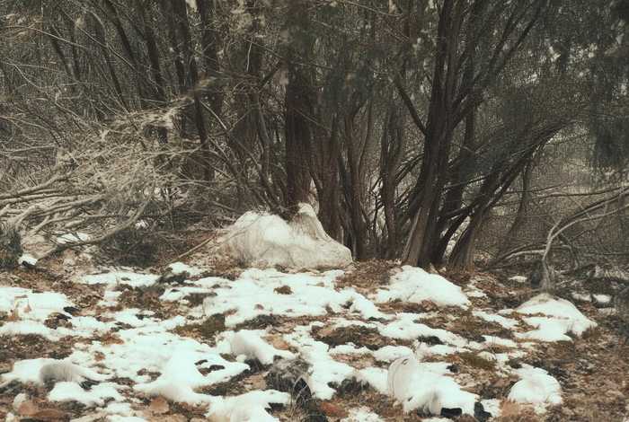 弹簧生活模拟器 机器人歌手（弹簧模拟器手机版）