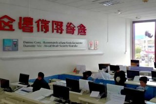 大名县人力资源和社会保障局官网 - 大名县人力资源和社会保障局官网电话