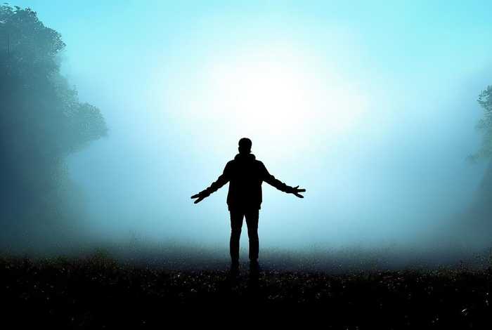 拨开网络迷雾拥抱真实生活作文（拨开迷雾我怎么样作文六百字）