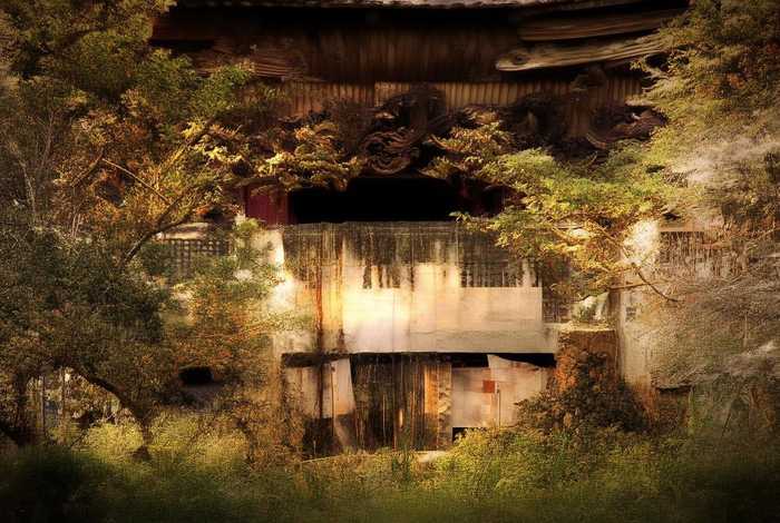 风吹雨打生活(风吹雨打知生活是什么意思) 风吹雨打生活(风吹雨打知生活是什么意思)