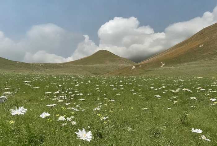 海马的生活特点;海马的特点和生活特征 海马的生活特点;海马的特点和生活特征