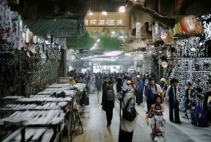 桂花的生活习性是什么；桂花的生活环境是什么样的