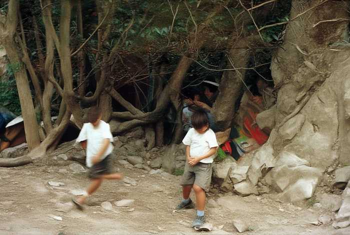 联系生活实际写一写军神的读后感（军神读后感400字作文联系生活实际）