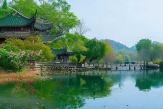 翠湖的生活形态 翠湖的生活形态特征