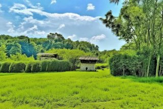 2022甘肃最低生活保障，2021年甘肃最低生活保障