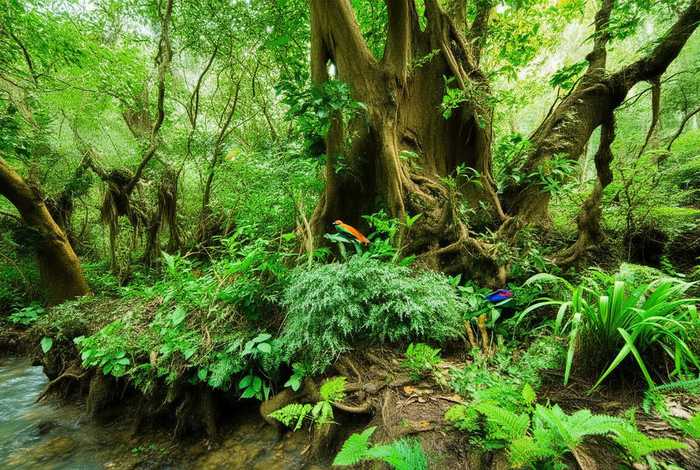 福建野生动植物数据库；福建野生动植物数据库有哪些