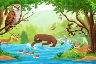 动物不同的生活方式 - 其他动物的生活方式