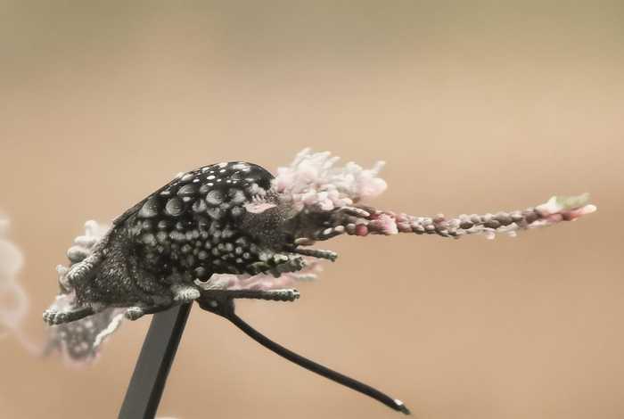 经济生活新闻头条 经济生活新闻头条文章