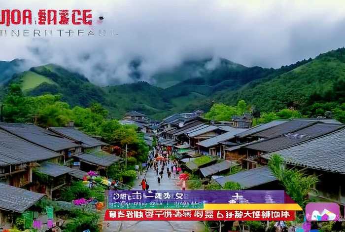 福建生活频道，福建生活频道视频回放