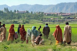 巴基斯坦农村真实生活视频大全、巴基斯坦农村真实生活视频大全集