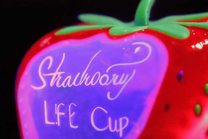 草莓生活水杯厂家 草莓生活水杯如何辨别真假