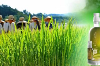 安泰生丙森锌增产最新消息（安泰生丙森锌对水稻的作用）