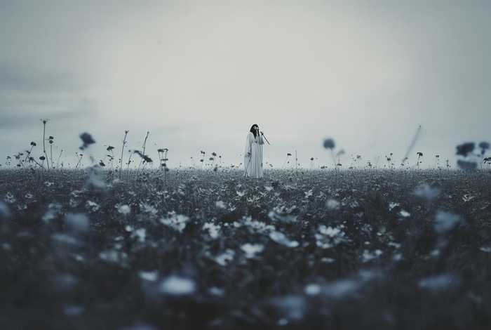 没有意义的生活歌曲 - 没有意义的生活歌曲视频