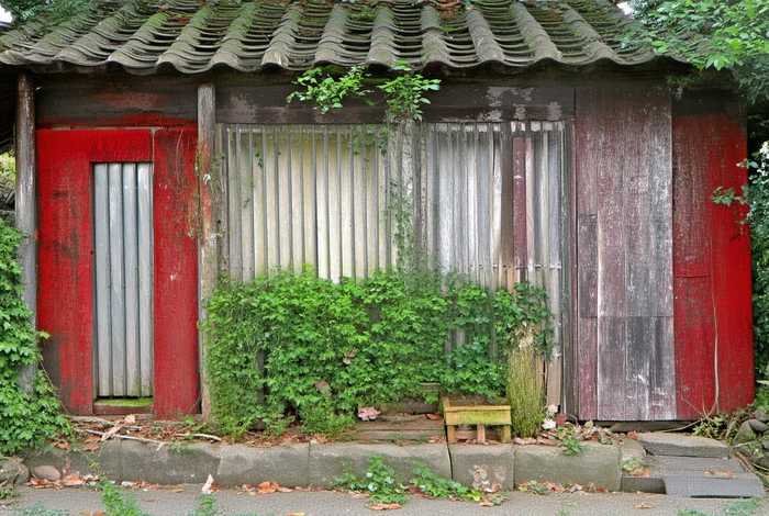 金色的生活,疯狂的抱住了头歌名（金色的拥抱）