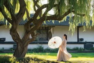 古代悠闲生活日常张大丫；古代悠闲生活日常张大丫伞杉