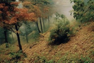 货车司机的生活现状 - 货车司机的生活现状如何