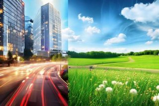 城市生活和乡村生活作文 城市生活和乡村生活作文素材