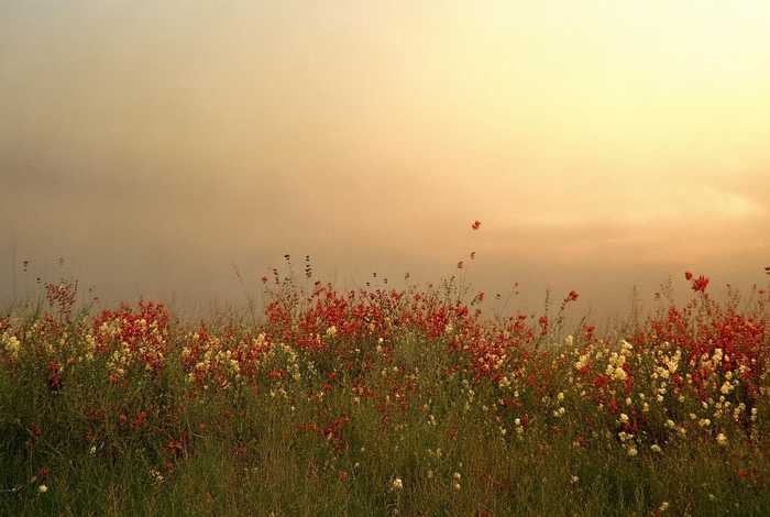 桂林二手房出售信息,桂林二手房出售 桂林二手房出售信息,桂林二手房出售