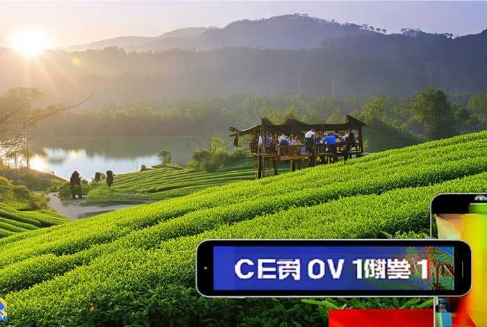 cctv1生活早参考茶叶二湖 cctv1生活早参考抖音号