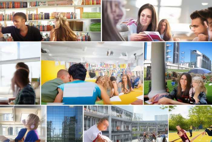 大学生生活调查报告总结（大学生生活调查问卷和调研报告总结）