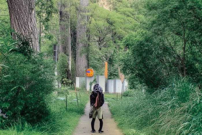 典型生活片段呈现精神小练笔100字 - 典型生活片段呈现精神小练笔100字作文