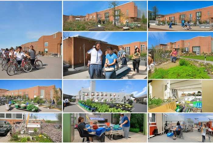 大学生如何低碳生活绿色消费（大学生如何绿色生活低碳生活）