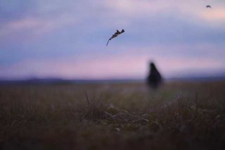 假如生活欺骗了你诗句完整版、假如生活欺骗了你诗句完整版图片