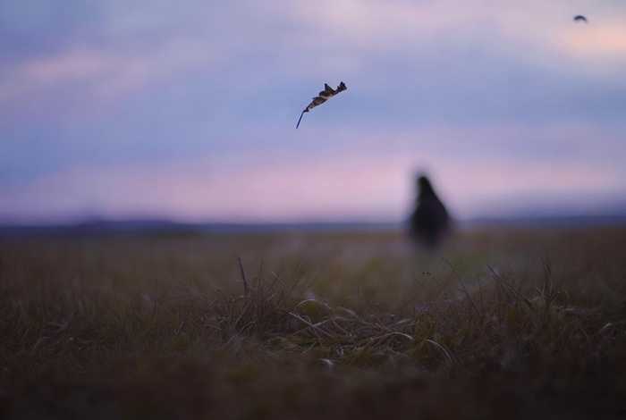 假如生活欺骗了你诗句完整版、假如生活欺骗了你诗句完整版图片